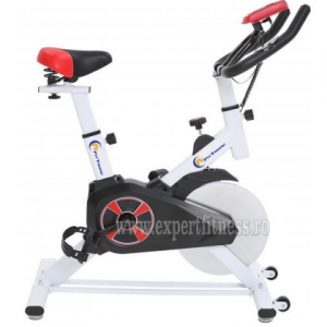 Bicicleta indoor cycling FitTronic SB100 
